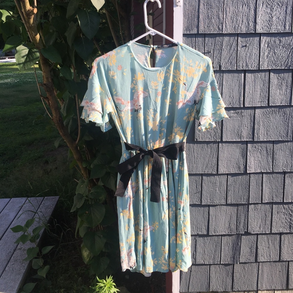 Zara dress